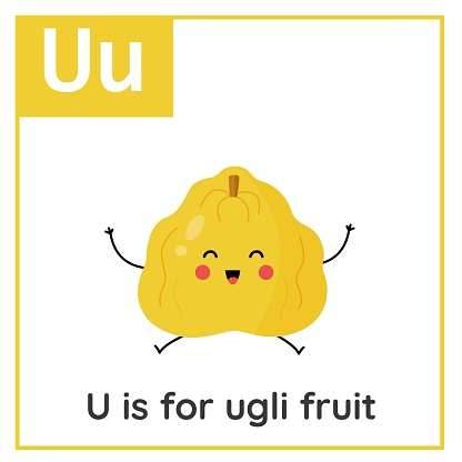 Fruit and vegetable alphabet flashcard for children. Learning letter U. U is for ugli fruit.