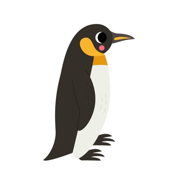 ilustrações de stock, clip art, desenhos animados e ícones de vector illustration of cute king penguin isolated on white background. - penguin animal white background king penguin