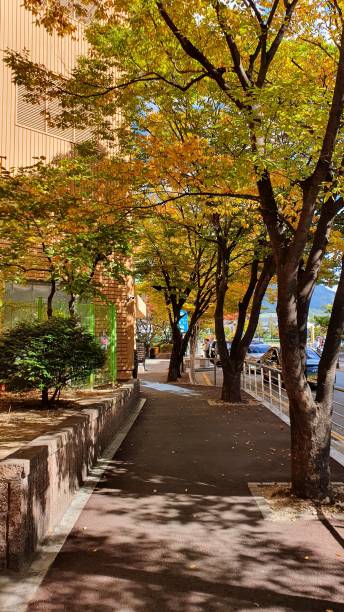 istock Autumn in the city 2083597754