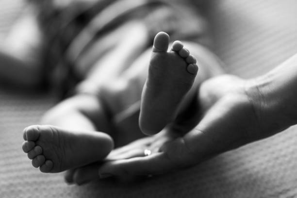 tiny, cute, bare feet of a little newborn baby girl or boy, two weeks old, wrapped in a soft and cozy blanket. professional studio macro photography of a newborn. fingers, feet, heels. black and white - human foot baby black and white newborn ストックフォトと画像