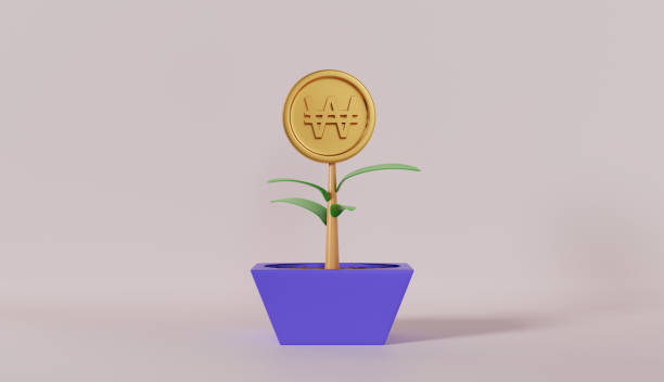 istock Money Tree Plants Won on Pastel Color Background 2083625085