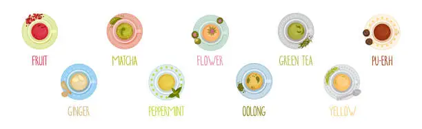 Vector illustration of Different Herbal Tea Brewing in Cup Above View Vector Set