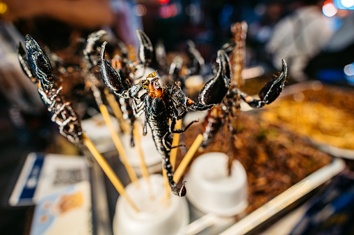 Roasted scorpions on a stick being sold on the street market in Bangkok in Thailand.