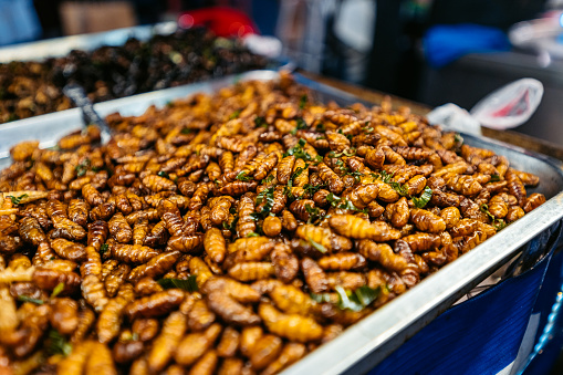 Worm larvae being sold on the street market in Bangkok in Thailand.