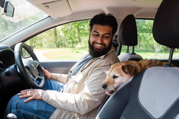 istock Road Trip with his Dog 2083695732