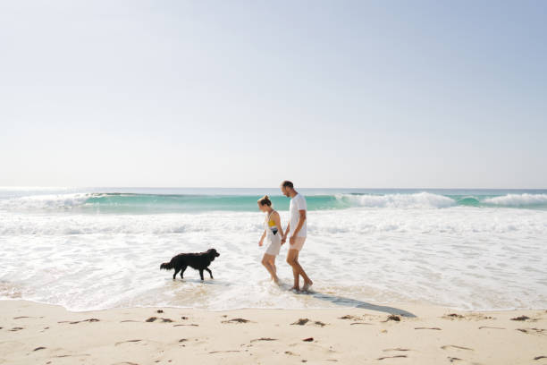 istock Walk at the beach with our friend 2083717001
