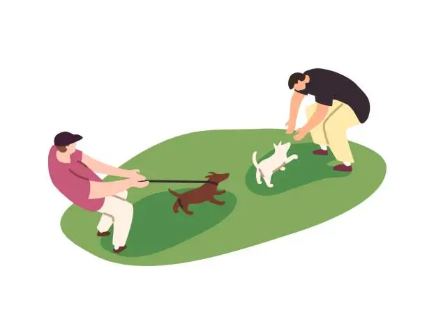 Vector illustration of People walk dogs. Fluffy puppy pulls leash, leads owner to meeting with another pup. Pet sitters stroll doggies in park. Person talk to cute domestic animal. Flat isolated vector illustration on white