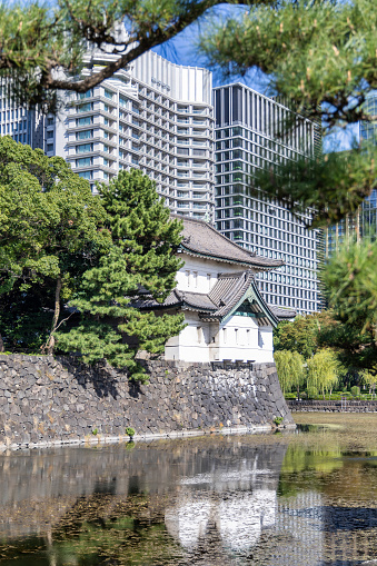 Tokyo, Japan - October 12, 2023: A view of the walls of Tokyo Imperial Palace building facade across the water with beautiful pine trees and skyscrapers in the background.