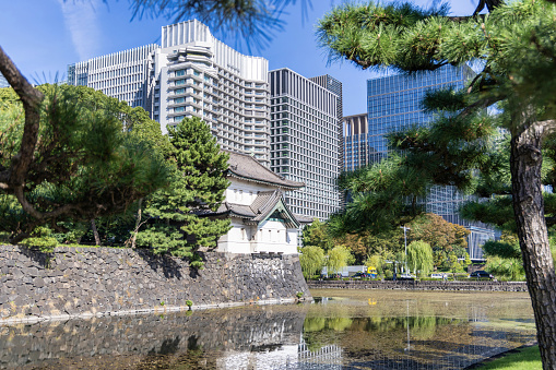 Tokyo, Japan - October 12, 2023: A view of the walls of Tokyo Imperial Palace building facade across the water with beautiful pine trees and skyscrapers in the background.