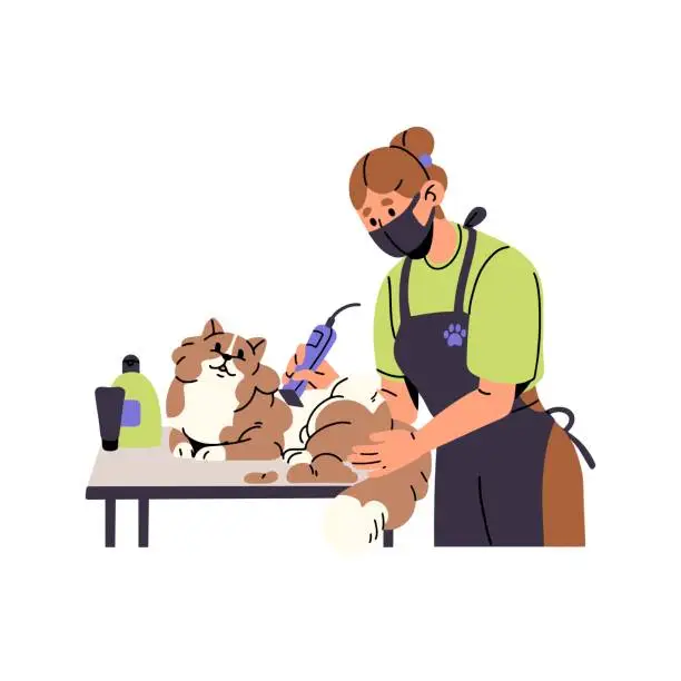 Vector illustration of Pet grooming service salon. Professional groomer cuts fur of fluffy cat with trimmer. Girl cares about cute kitty. Furry kitten lying on table. Flat isolated vector illustration on white background