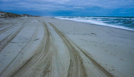 Traces of fishermen's cars on the ocean shore, Island Beach State Park