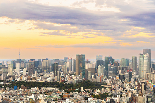 Tokyo, Japan - October 6, 2023: The Tokyo skyline from a high angle view at sunset and twilight with green park in front.