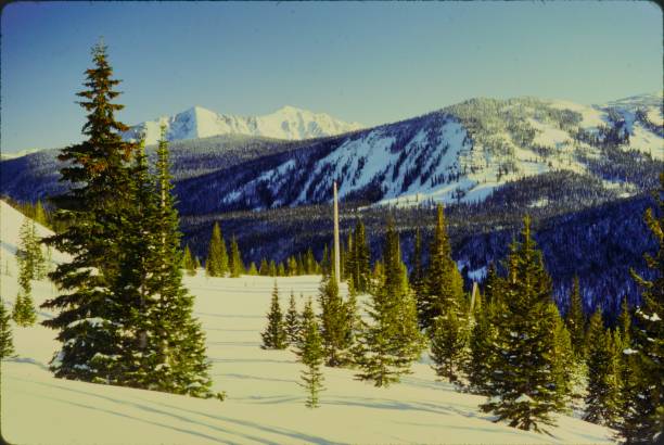 istock Ski Touring in the North Gore Range White River National Forest Colorado 2083827233