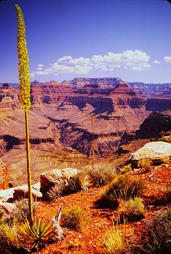 Magnificent views along the Hermit Trail to the Colorado River in the Grand Canyon National Park Arizona