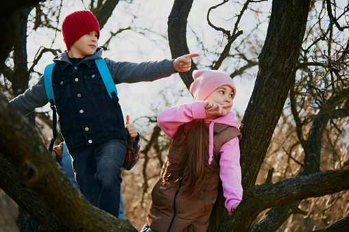 Kids, boys and girls engaged in play discovering world on tree, dressed in colorful winter clothing. Concept of outdoor activities for children's development, school, childhood, fashion and style. Ad