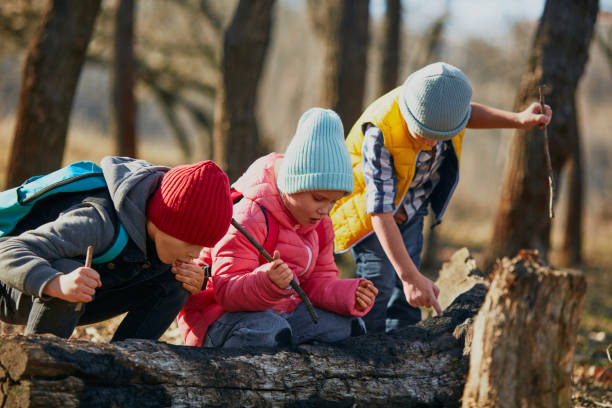 istock Outdoor activities for children's development. 2083861640