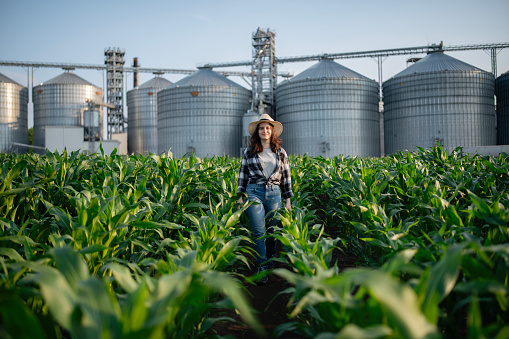 Young succesful female farmer at her corn fields.