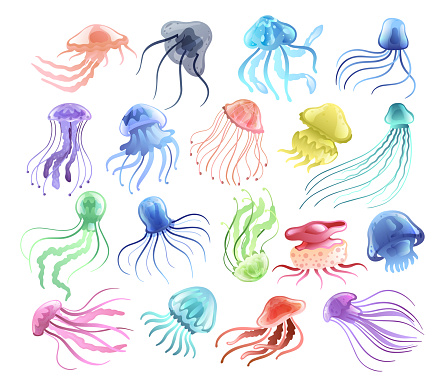 Colorful Jellyfish with Umbrella-shaped Bell and Trailing Tentacles Vector Set. Gelatinous Free-swimming Marine Animal Concept