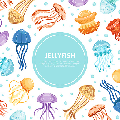 Square Card with Vibrant Jellyfish Having Umbrella-shaped Bells and Trailing Tentacles Vector Template. Design with Swimming Medusa and Text in Round Frame Concept