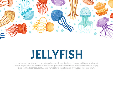 Banner with Vibrant Jellyfish Having Umbrella-shaped Bells and Trailing Tentacles Vector Template. Design with Swimming Medusa and Text in Round Frame Concept