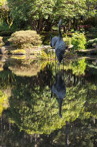 A statue of a bird is standing in a pond with its reflection in the water. Concept of tranquility and peacefulness, as the bird and its reflection seem to be in harmony with the natural surroundings