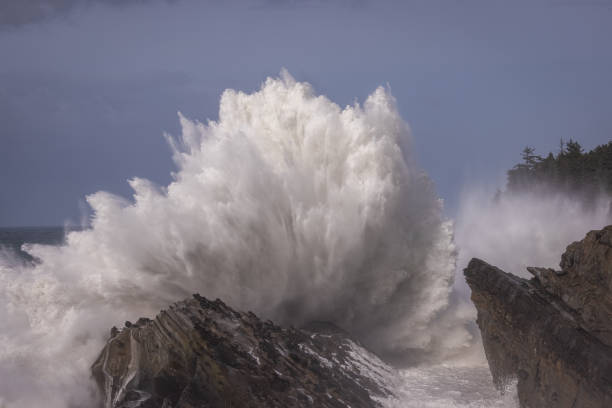 istock Giant waves in Shore Acres, Oregon. 2083932852