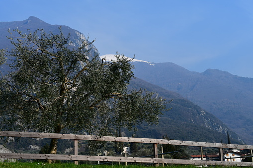 Schöne Landschaft um Arco im Trentino