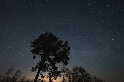 Landscape astrophoto, trees against the background of the starry sky in early spring, Estonian nature.High quality photo