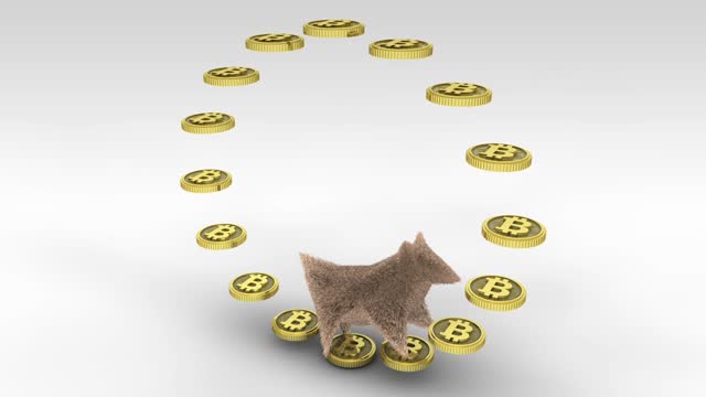 Turning Bitcoin Cycle