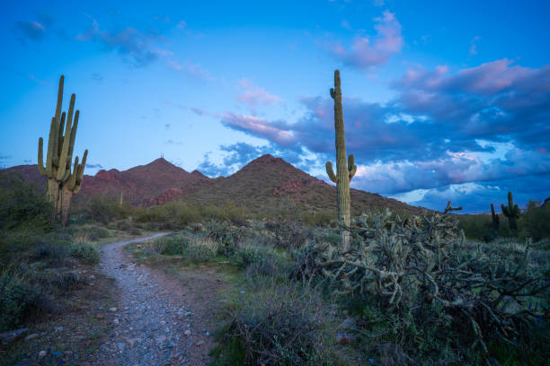 Trail through desert landscape at sunset