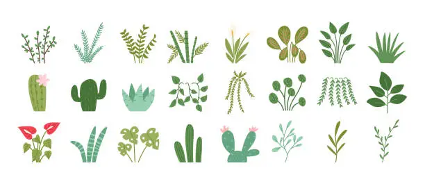 Vector illustration of Set of hand drawn house plants, cartoon flat vector illustration isolated on white background.