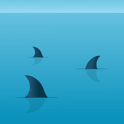 Sharks vector illustration