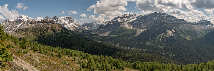 Panoramic scenery in Banff National Park during summer time with expansive nature, wilderness views on blue sky clouds day, greenery.