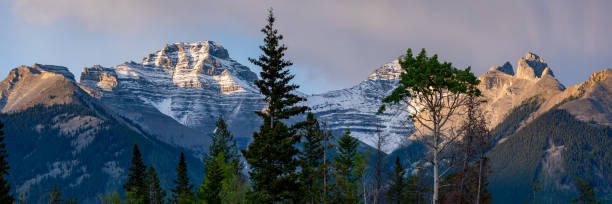 Panoramic mountain views in Banff National Park during summer time.