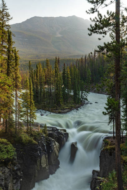 istock Sunwapta Falls in Canadian Rockies along the Icefields Parkway 2084078199