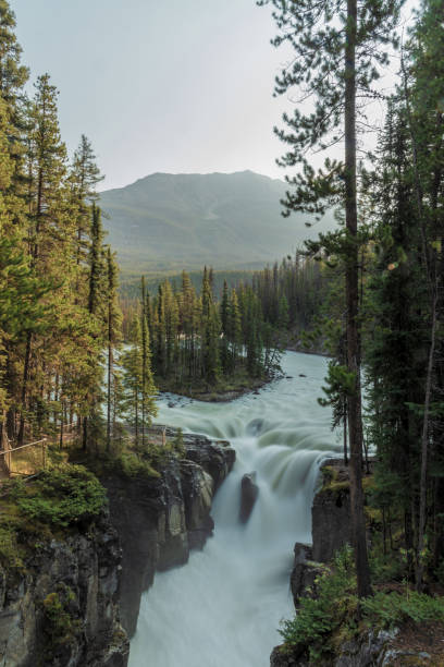 Sunwapta Falls in the stunning Canadian Rockies at sunrise in summertime with beautiful cascading waterfall in popular tourist, landscape area of Canada.
