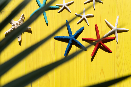 Lovely top view composition of starfish on yellow background and shadow of palm leaf summer vacation concept