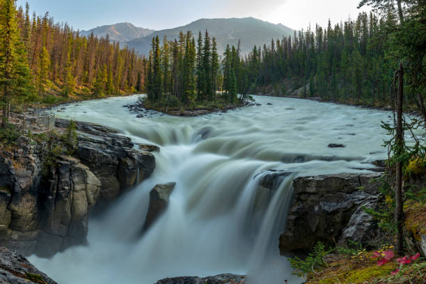 istock Sunwapta Falls in Canadian Rockies along the Icefields Parkway 2084089331