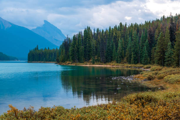 istock Moose Lake Loop Hike at Maligne Lake, Jasper National Park 2084096212