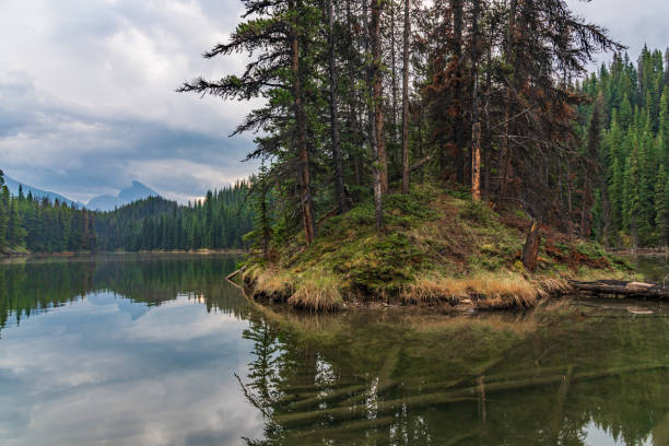 istock Moose Lake Loop Hike at Maligne Lake, Jasper National Park 2084096235