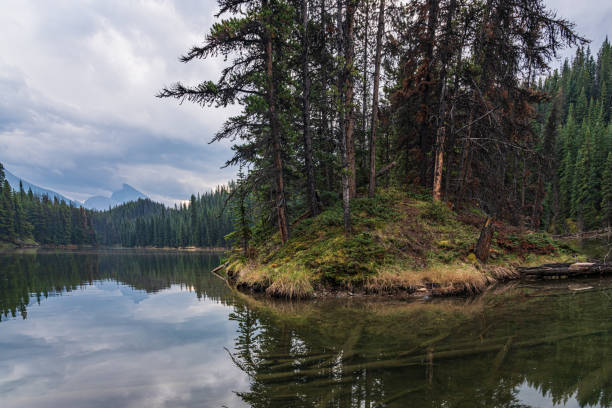 istock Moose Lake Loop Hike at Maligne Lake, Jasper National Park 2084096236