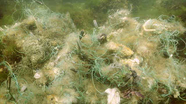 Lost fishing net lies on seabed in green algae Ulva on shallow water in Black sea