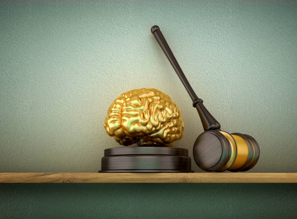 istock Brain with Legal Gavel 2084106245