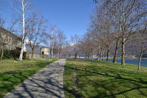 Large cement tiles alley surrounded by green grass lawn with white spring daisy flowers, with several birch trees without leaves. Blue stripe of lake water on the right with the town of Lecco under mountain hills behind and white snow-capped summits of Mounts Grigna and Resegone. Large blue sky in a bright sunny weather day. Long tree shadows in the foreground. Happy landscape panorama.
