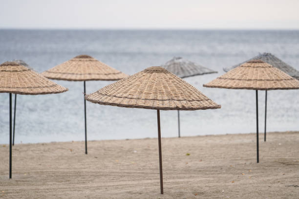 istock Sunbeds, Umbrellas and Hammocks in a beach 2084137770