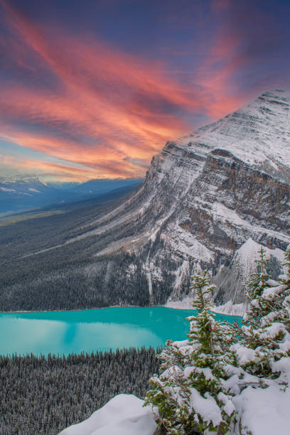 banff national park sunset in the winter - parque-nacional-de-banff imagens e fotografias de stock
