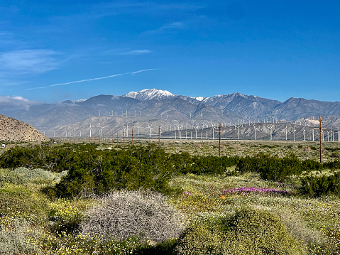 San Gorgonio Pass wind farm is close to Palm Springs and home to one of the largest wind turbine farms in the United States, with over 3,000 turbines generating clean, renewable energy. The high-tech megatowers are engineered in cooperation with NASA and nursed by federal and state subsidies.