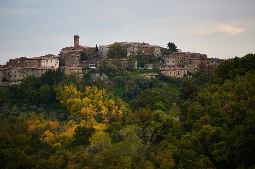 Towers and houses on hill in old town surrounded with scenic landscape covered in trees against sky at Chiusdino