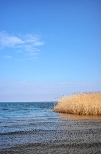 Peaceful landscape of the Szczecin Lagoon in the Oder estuary, shared by Germany and Poland.