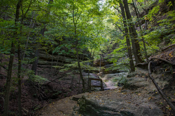 istock Starved Rock SP - French Canyon Trail 2084405406